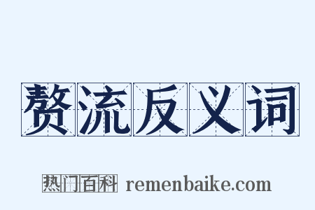 赘流反义词是什么意思的图片
